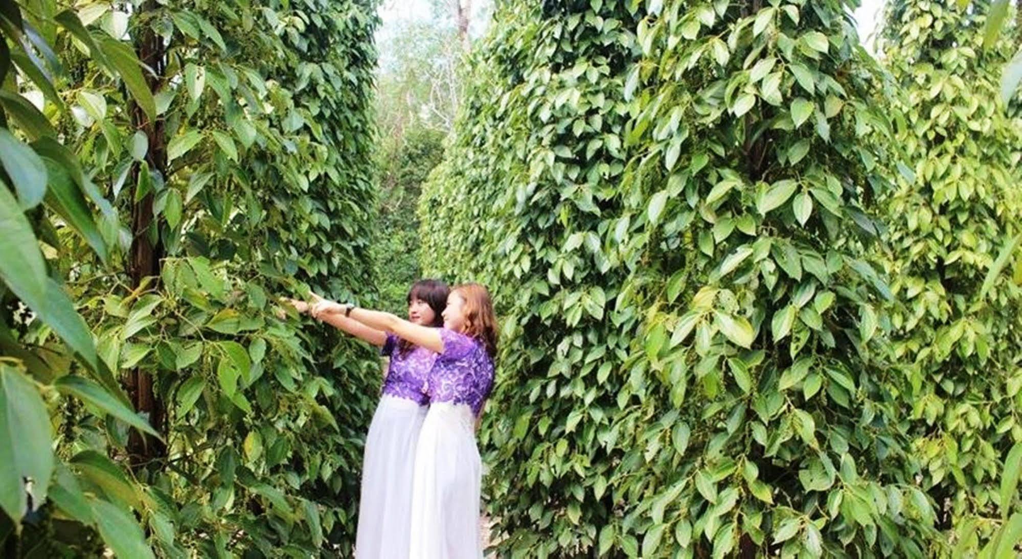 Pepper Farm Phu Quoc Hotel Екстериор снимка