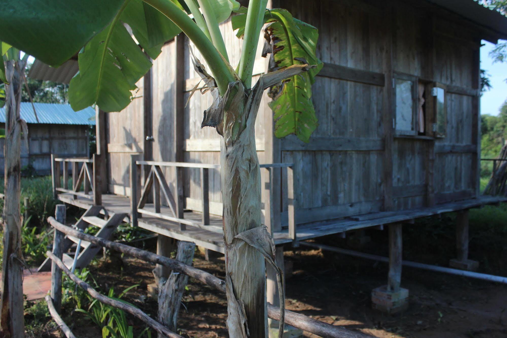 Pepper Farm Phu Quoc Hotel Екстериор снимка