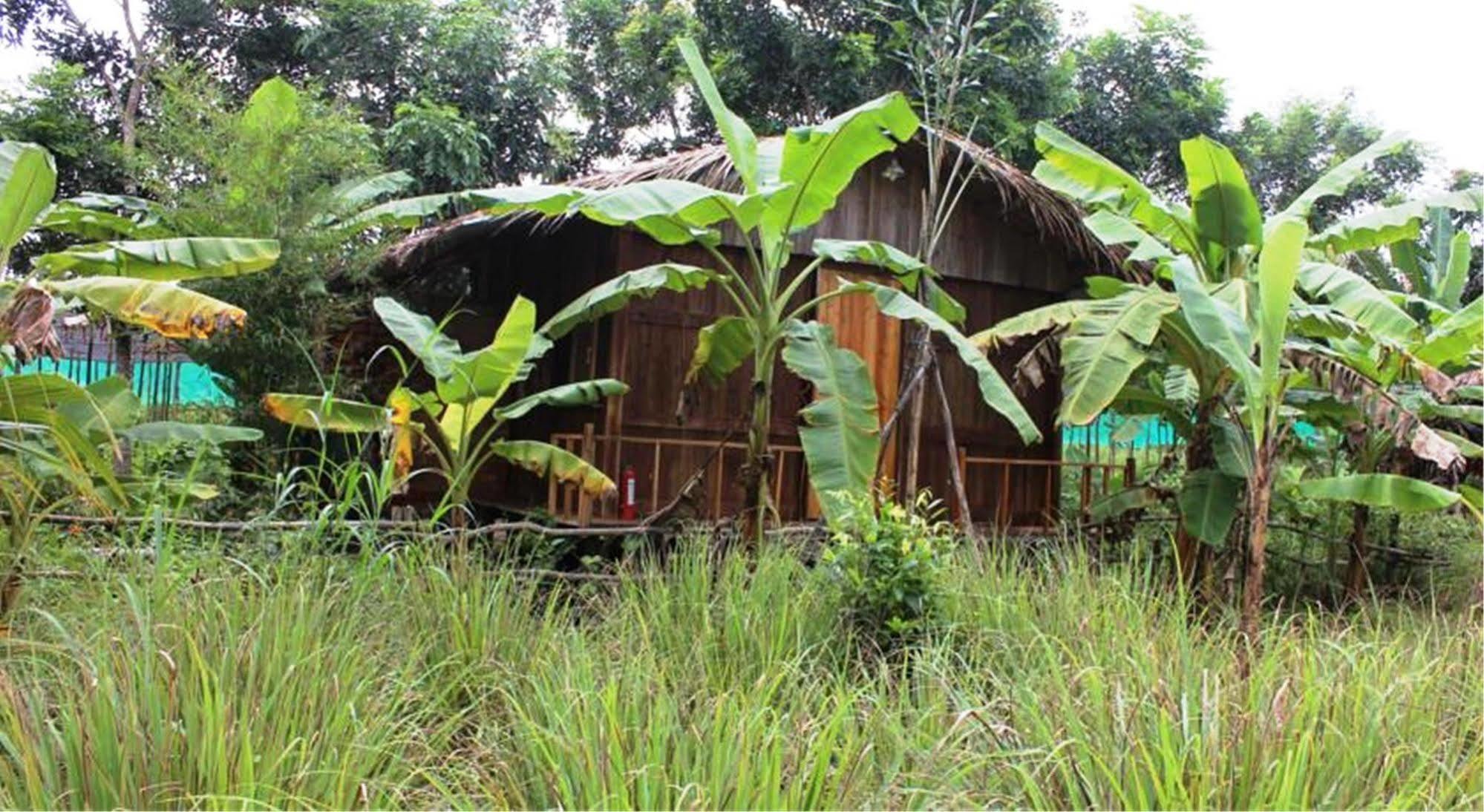 Pepper Farm Phu Quoc Hotel Екстериор снимка