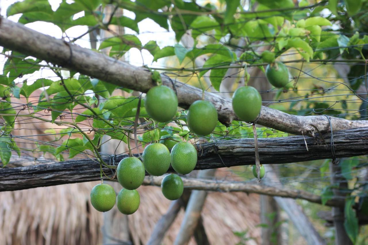 Pepper Farm Phu Quoc Hotel Екстериор снимка