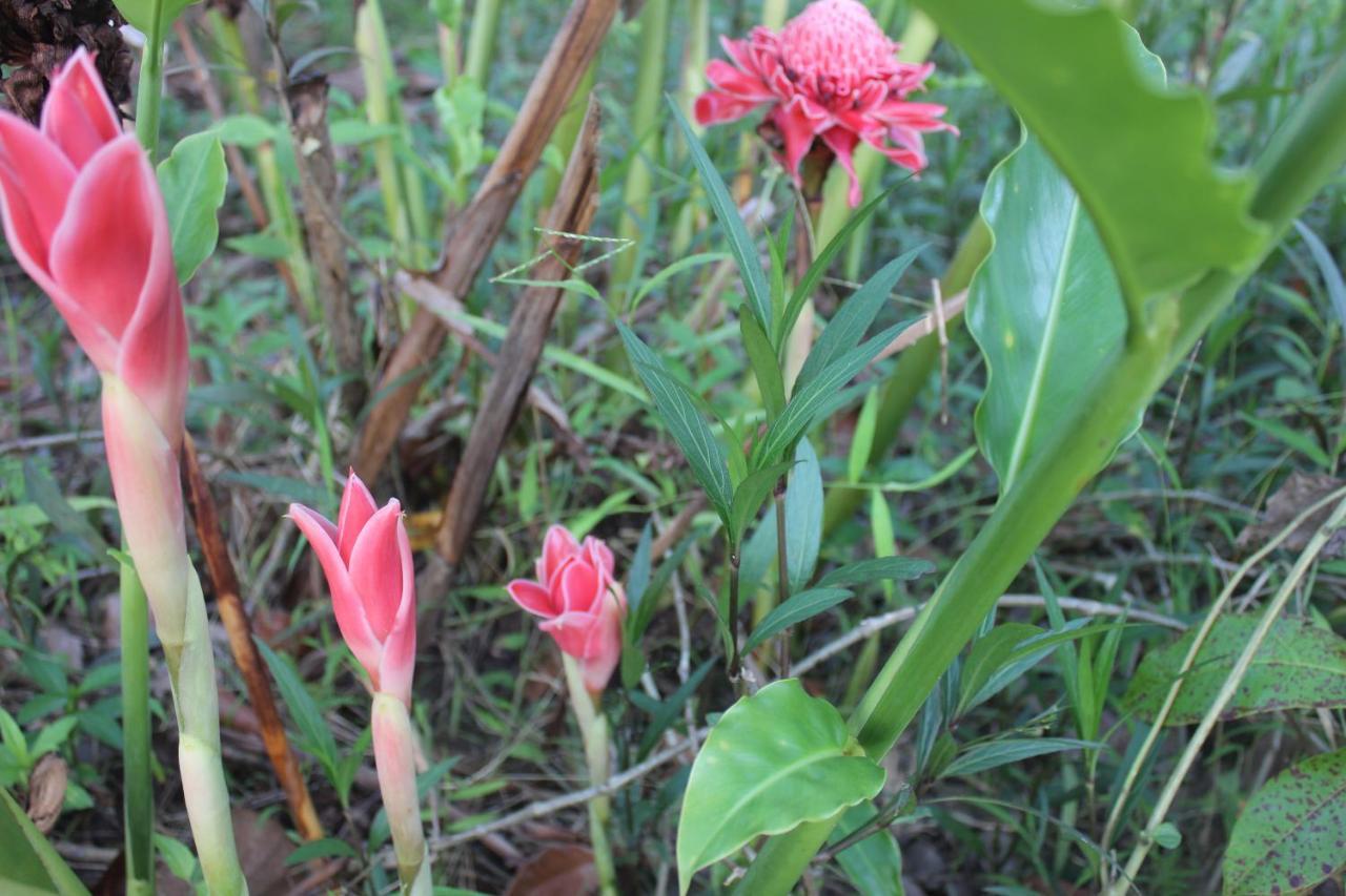 Pepper Farm Phu Quoc Hotel Екстериор снимка